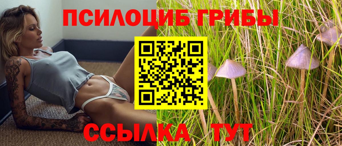 Галлюциногенные грибы Psilocybine cubensis  Вход с VPN  Красный Сулин 
